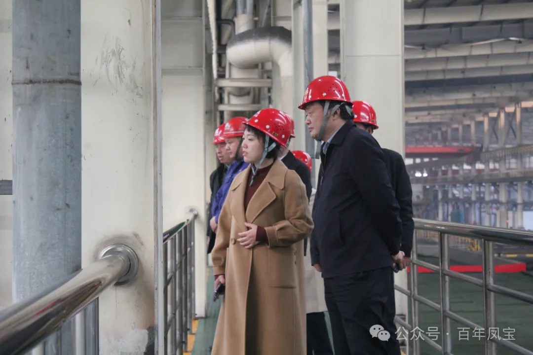 陈佳到华体会（中国）调研